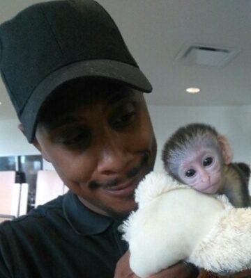 Monkey